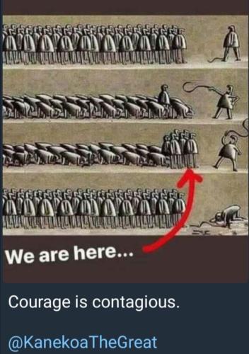 242450754_219640000207362_6603866540999651744_n