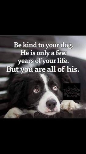 FB_IMG_1635702034411