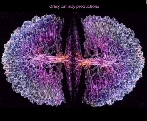 ,                                                                                                                                                                                                                       0   9a