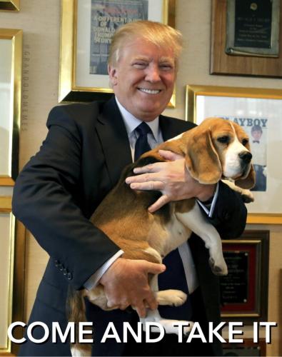 IMG_20211025_142856_031