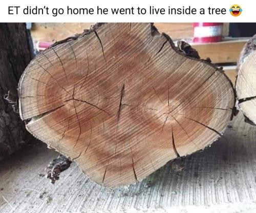 248361387_999318390645158_8597290921988675332_n