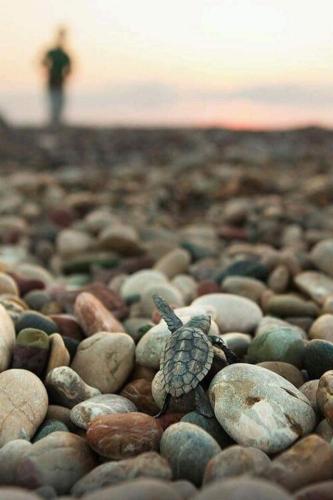 FB_IMG_1634406546484