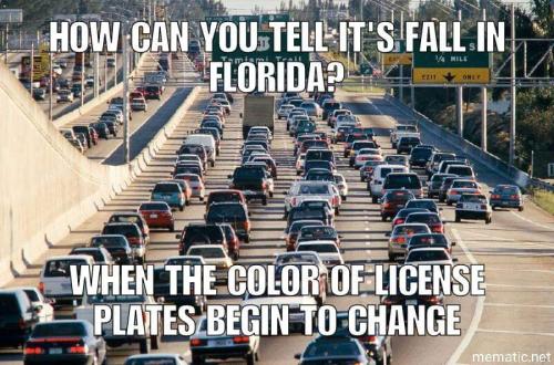 FB_IMG_1633275131620