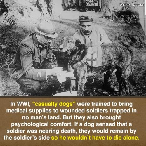 244741956_2340416112781417_1149597648694904360_n