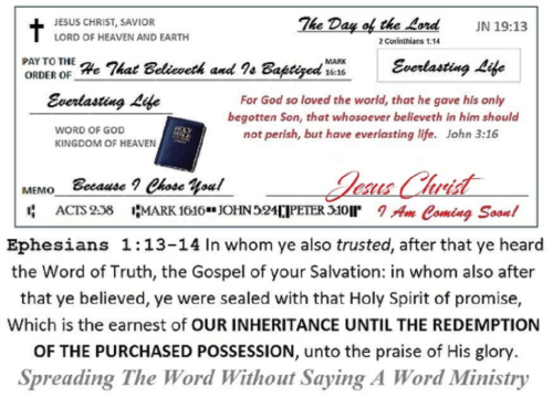 243970148_427178642082883_2106265350262674027_n