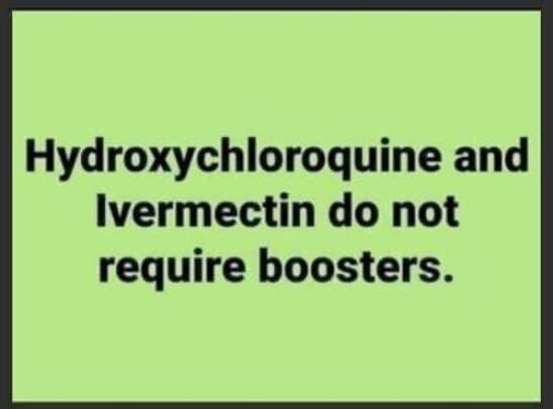 image_1635680264.599