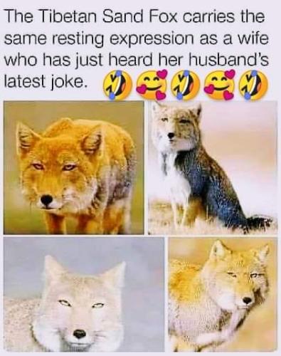 FB_IMG_1633228783906