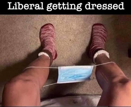 FB_IMG_1635546314134