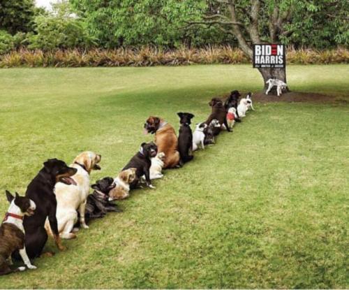 123431302_1253096005073856_4109962228563224017_n