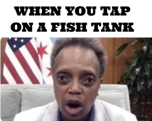 FB_IMG_1635241566667