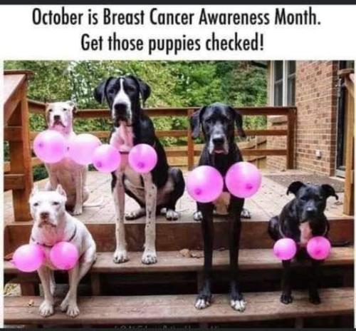 76c336e7852008a8973c458d0590654f_1024