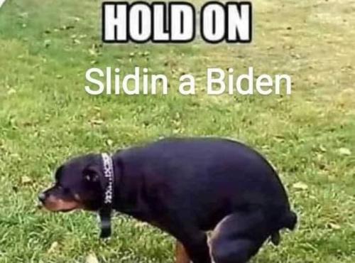 biden slidin