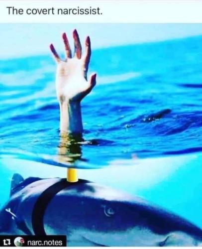 21:28:30 GMT-0400 (EDT)