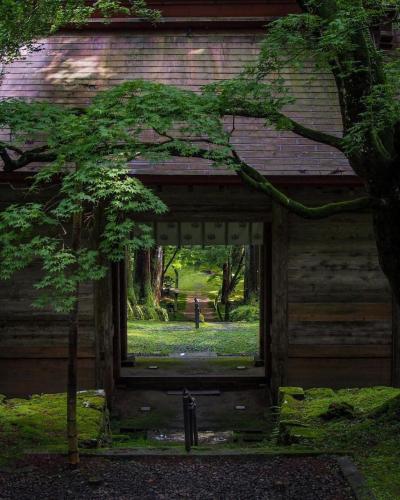 241212472_3037094179895130_8806350127260884334_n