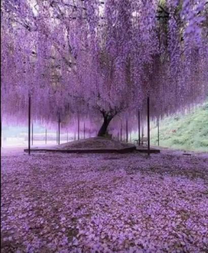 ,                                                                                                                                                                                                        0   . a    .    a  n