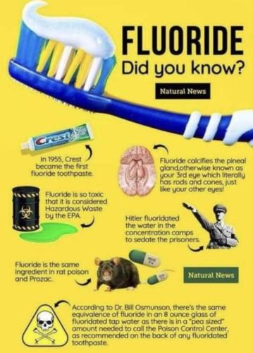 Screenshot_20211010-180312_Wimkin Uncensored