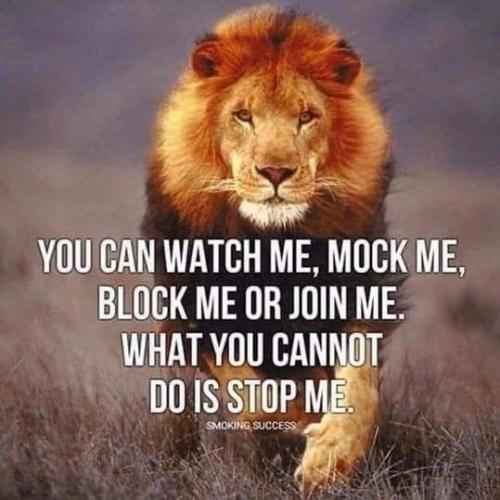 20:00:34 GMT-0500 (CDT)