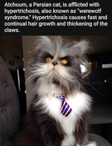 Screenshot_20211018-225411_Reddit