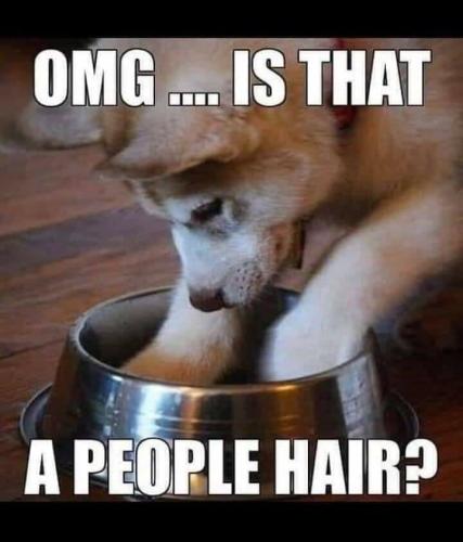 246996491_1084065909067151_1647720877629404063_n