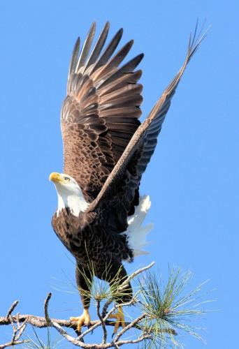 19:07:53 GMT-0500 (CDT)