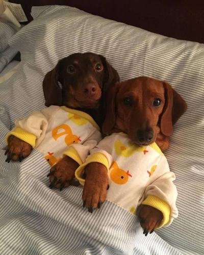 246232481_105960258544394_3909983296973078128_n