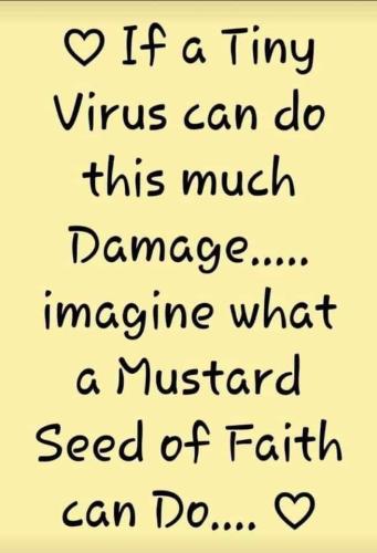 FB_IMG_1631723577842