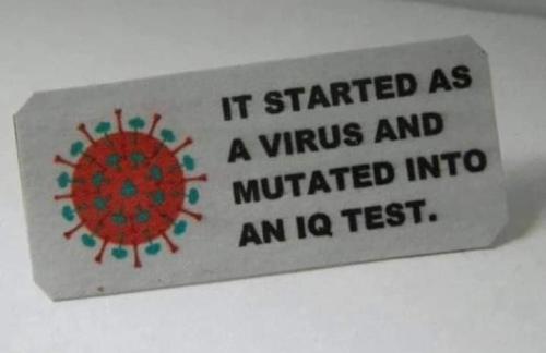 FB_IMG_1635300549263