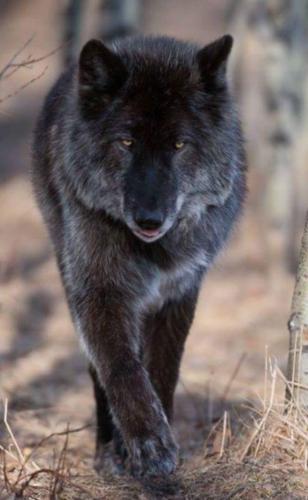 08:24:01 GMT-0500 (CDT)