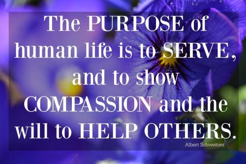serve-show-compassion