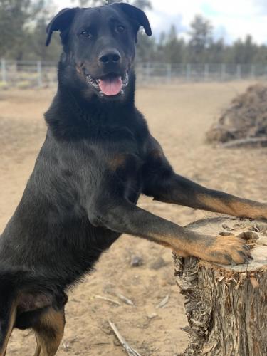 18:48:37 GMT-0700 (PDT).image