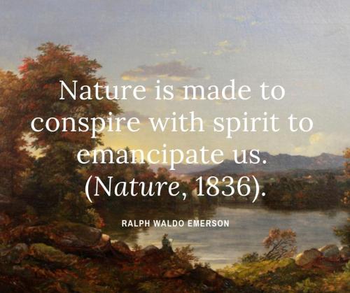 55917939_1505929782874916_6429799619613425664_n