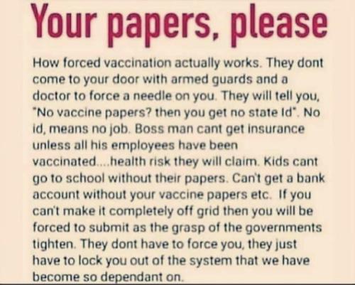 photo_2021-10-08_22-30-18