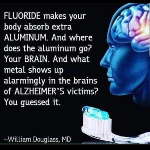 Screenshot_20211010-214121_Wimkin Uncensored