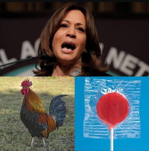 Screenshot_20211031-143851_DuckDuckGo