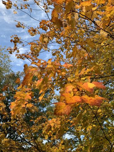 06C83F56-1673-48BC-8F25-25821311DE9B