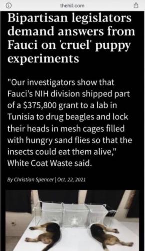 photo_2021-10-24_18-47-52