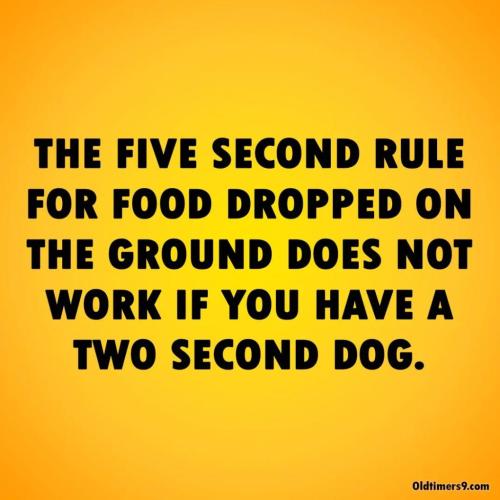 FB_IMG_1627218430526