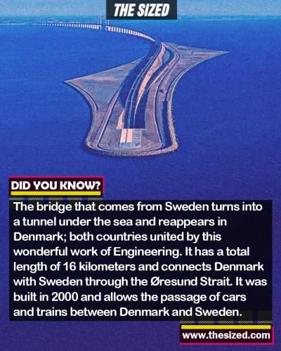 250928485_414205063479150_510637862916996310_n