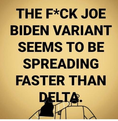 image_1635055339.034