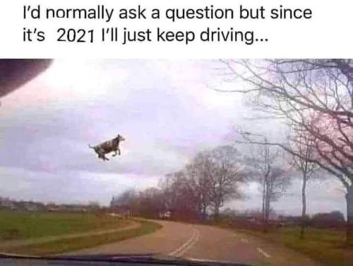 FB_IMG_1634498601074