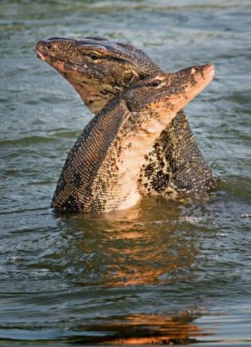 175b3450d7ea198d64f76b6a42667a45