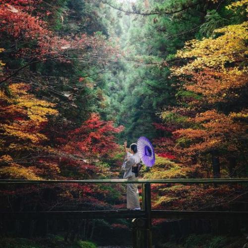 250320704_4238430862933505_1597727092827066530_n