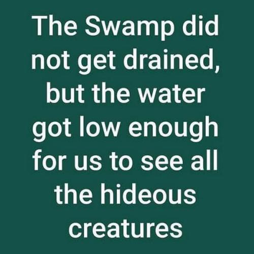 FB_IMG_1634284533312