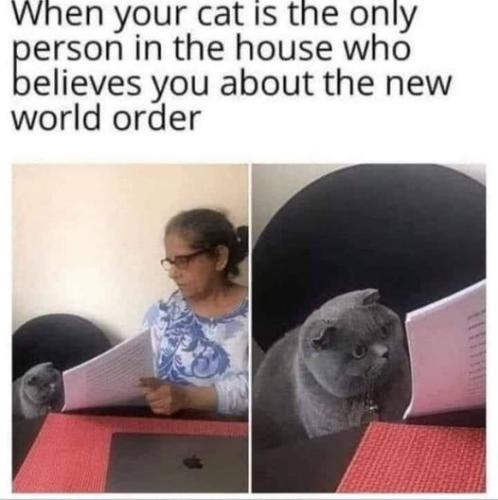 248920565_933277800901633_8652115684618602478_n