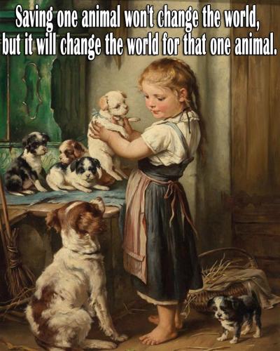 246040458_4627580383969164_7933145342918725565_n