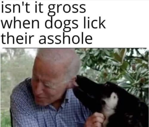 Screenshot_20211025-233500_DuckDuckGo