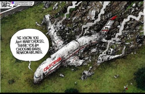 Screenshot_20211002-082026_SoliKick