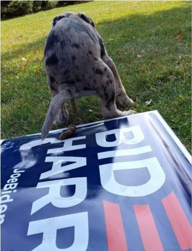 Screenshot_20211025-144803_DuckDuckGo