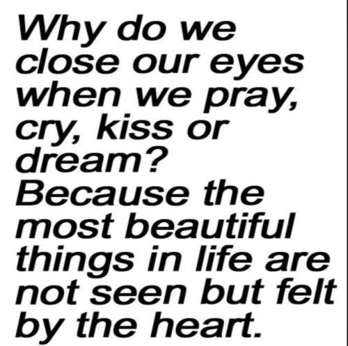 22154451_725031231020757_4882870053982334756_n