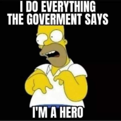 gov hero